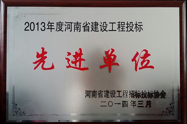 2013年度省先 進(jìn)投標(biāo)單位